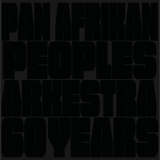 Pan Afrikan Peoples Arkestra - 60 Years (The Village)