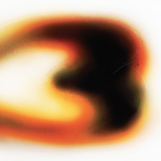 Still House Plants - If I Don't Make It, I Love U (Bison)